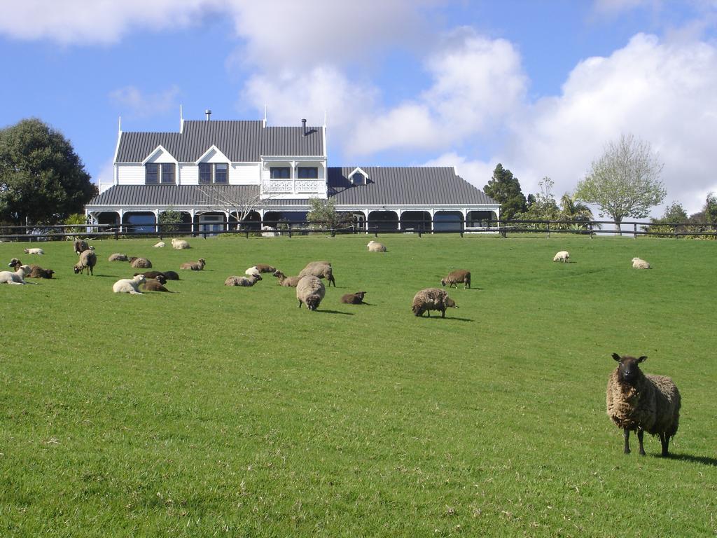 Country Homestead At Black Sheep Farm Waipu Εξωτερικό φωτογραφία