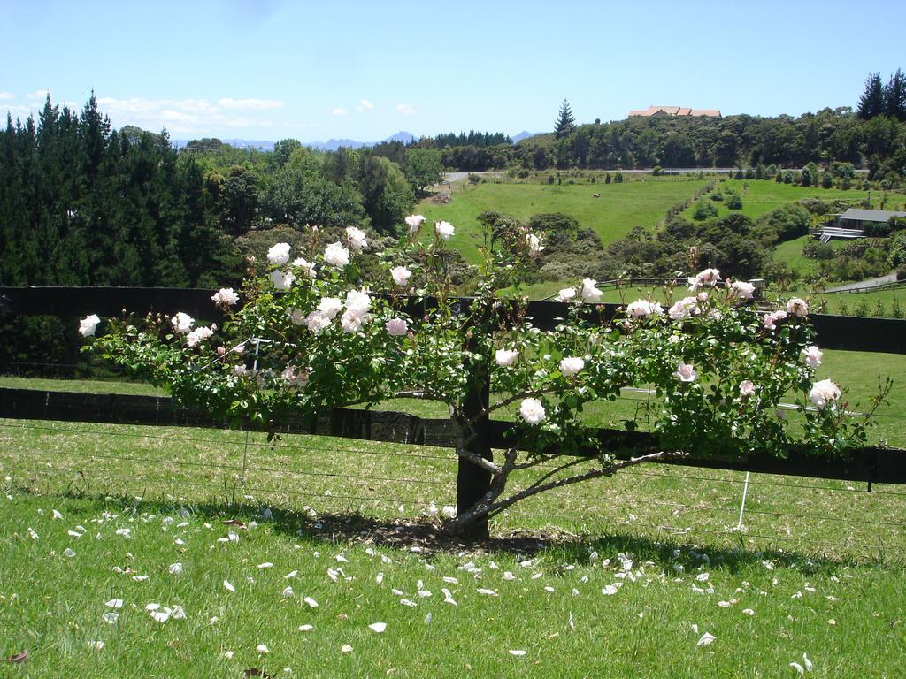 Country Homestead At Black Sheep Farm Waipu Εξωτερικό φωτογραφία